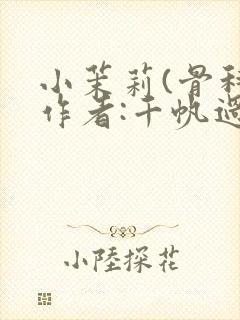 小茉莉(骨科)作者:千帆过尽