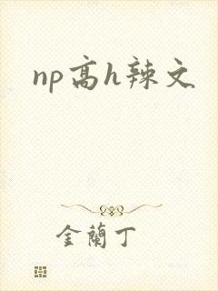 np高h辣文