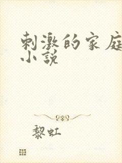 刺激的家庭乱仑小说