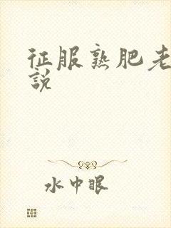 征服熟肥老妇小说