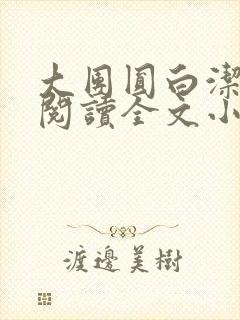 大团圆白洁免费阅读全文小说