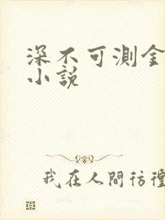 深不可测金银花小说