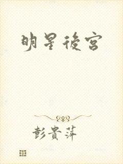 明星后宫