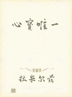 心宝唯一