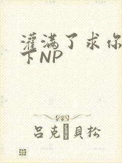 灌满了求你们停下NP