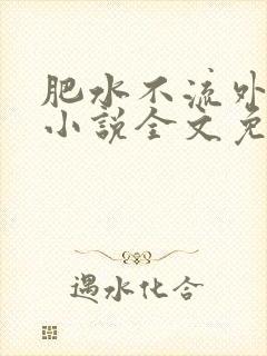 肥水不流外人田小说全文免费阅读1