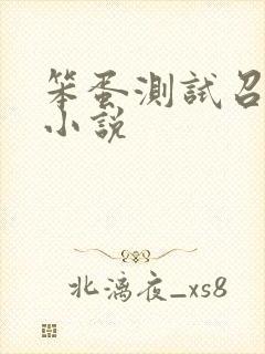 笨蛋测试召唤兽小说