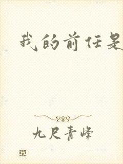 我的前任是极品