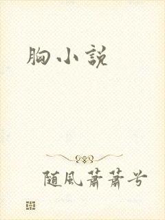 胸小说