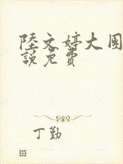 陆文婷大团圆小说免费