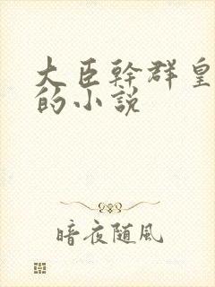 大臣干群皇太后的小说