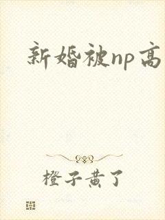新婚被np高h