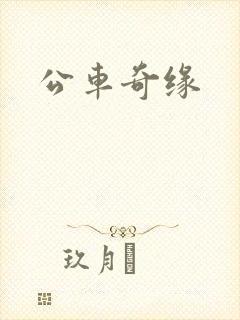 公车奇缘