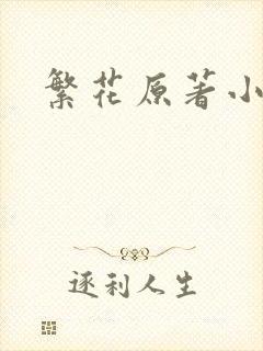 繁花原著小说封面