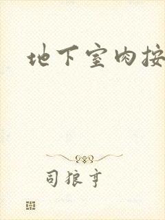 地下室肉按摩椅