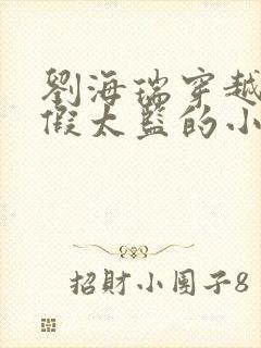 刘海瑞穿越后宫假太监的小说