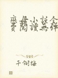恋母小说全文免费阅读无弹窗笔趣阁