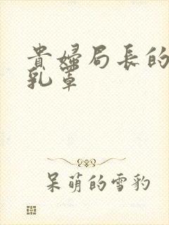 贵妇局长的蕾丝乳罩