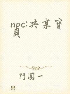 npc:共享宝贝