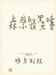 上瘾by黑暗森林小说免费