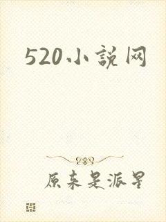 520小说网