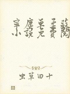 宁尘单柔苏千雪小说免费阅读最新