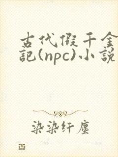 古代假千金挨日记(npc)小说