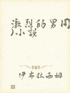 激烈的男同(h)小说