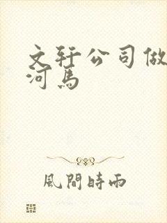 文轩公司做扩张河马