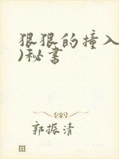 狠狠的撞入(h)秘书