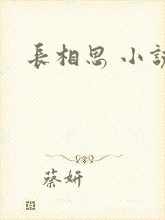 长相思 小说