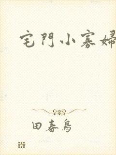 宅门小寡妇