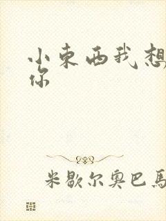 小东西我想弄坏你