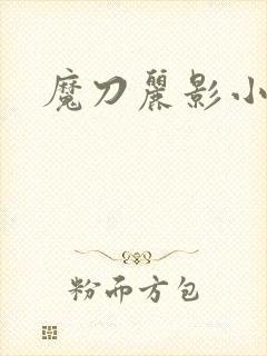 魔刀丽影小说