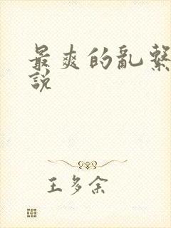 最爽的乱系列小说