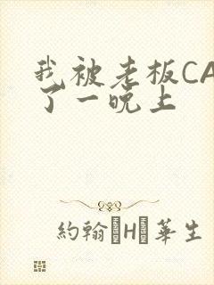 我被老板CAO了一晚上