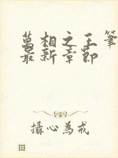 万相之王笔趣阁最新章节