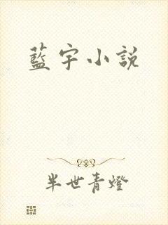 蓝宇小说