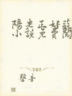 阳光正好苏玥玥小说免费阅读无弹窗