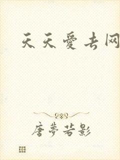 天天爱去网