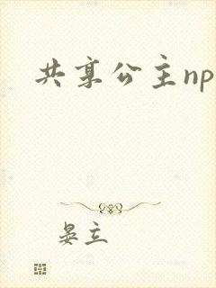 共享公主npc