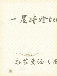 一屋暗灯txt