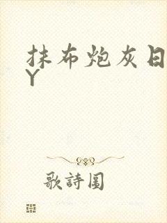 抹布炮灰日记BY