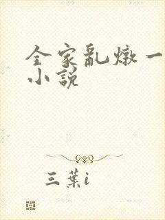 全家乱炖一锅烩小说