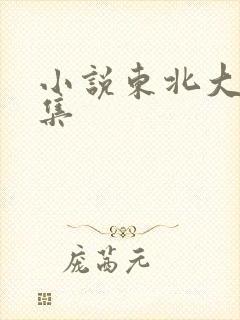 小说东北大炕全集