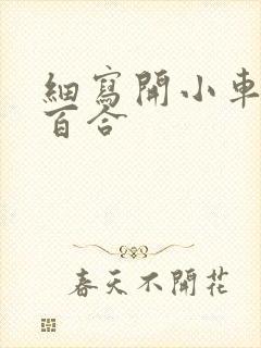 细写开小车车的百合