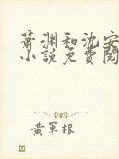 萧渊和沈安安的小说免费阅读