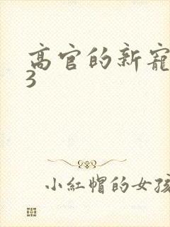 高官的新宠1V3