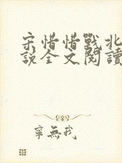 宋惜惜战北望小说全文阅读