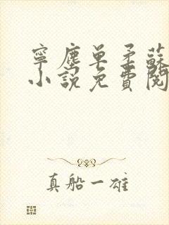 宁尘单柔苏千雪小说免费阅读最新